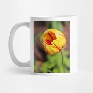 Striped Tulip Mug